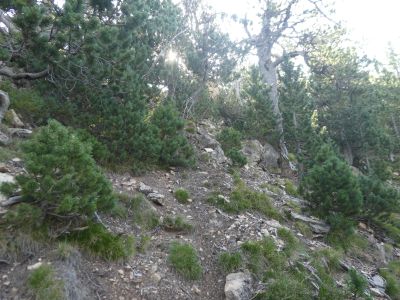 Vue montée sommet 4