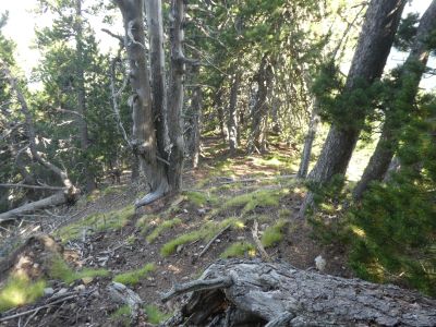 Vue descente sommet