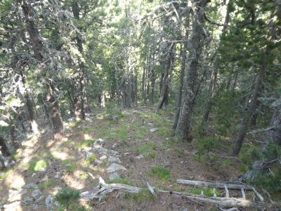 Vue descente sommet 2