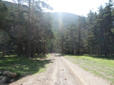 Croisement piste Mouline 2