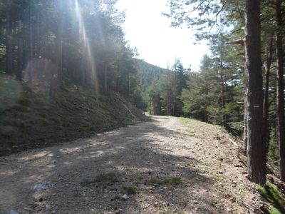 Croisement piste Portus