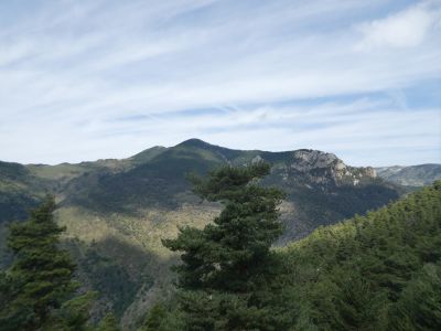 Vue Escotó