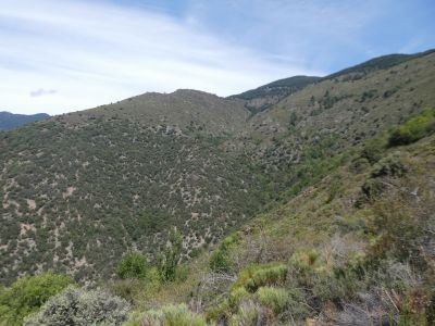 Vue Comall Ponç