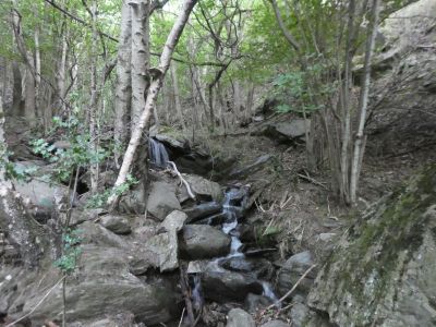 Vue Ribera Evol