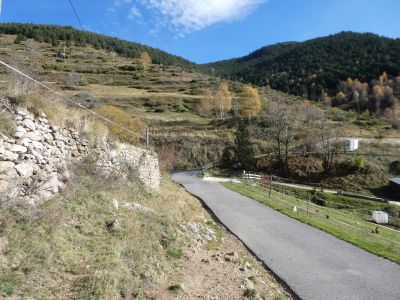 Croisement Cavale