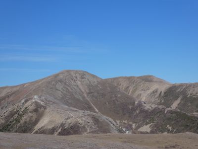 Vue Dona
