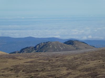 Vue Menta