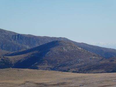 Vue Collada Verda