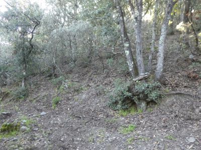 Croisement points verts