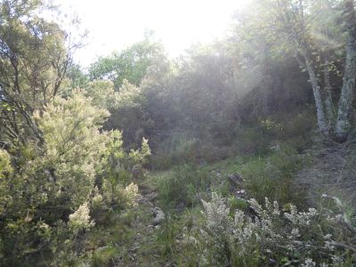 Croisement points oranges