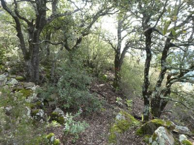 Croisement fin balisage