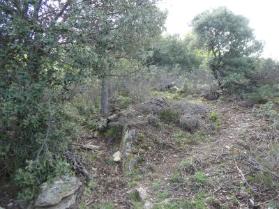 Croisement balisage points verts