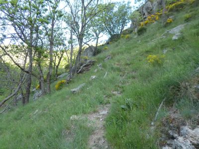 Vue montée Pocaroba