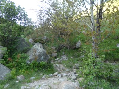 Croisement après boucle