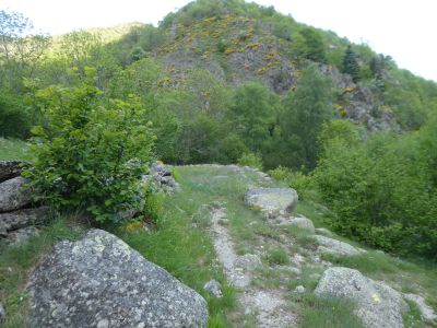 Croisement Pocaroba / Nyer