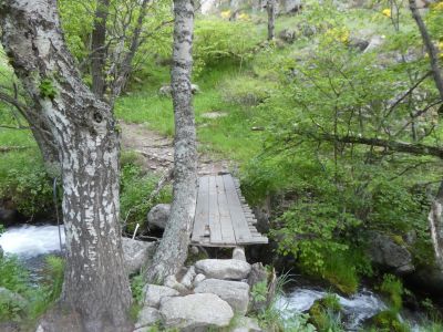 Croisement après Pocaroba / Nyer