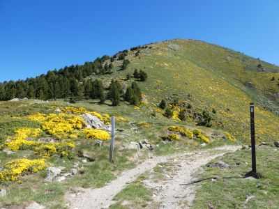 Croisement Gallinàs