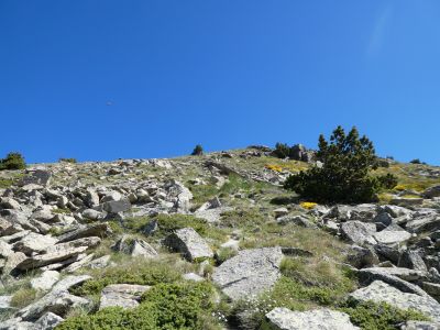 Vue montée Gallinàs