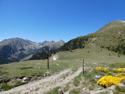 Croisement Gallinàs 2