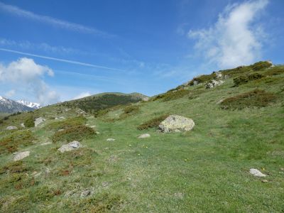 Vue chemin montée Estella