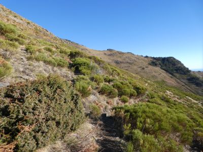 Croisement 1643 Torrelles