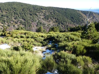 Croisement Bac Torrelles