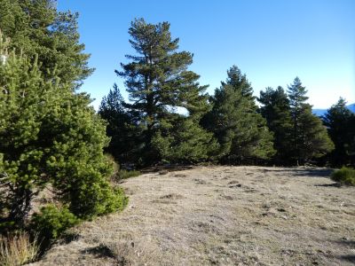 Croisement fin Canal Urbanya