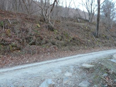 Croisement après Farga 2