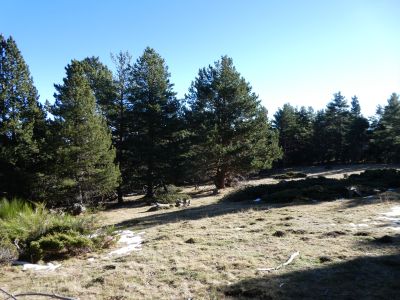 Vue sentier Peirafita