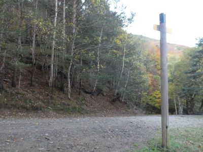 Montellà