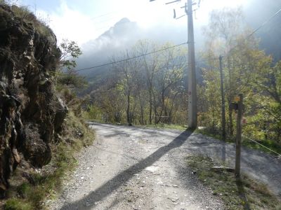Croisement Farga 2
