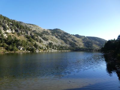 Vue Estelat