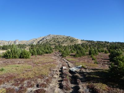 Vue sommet