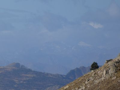 Vue Estats