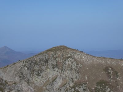 Vue Bernat Salvatge