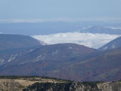 Vue Crabixa
