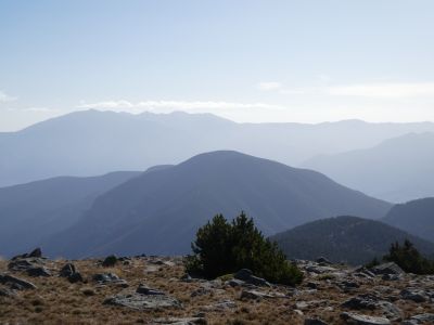 Vue Coronat