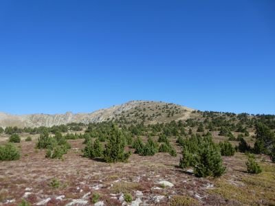 Vue sommet 3