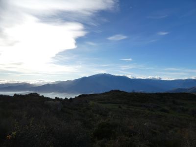 Vue Canigou