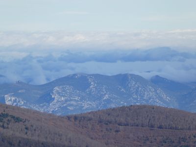 Vue Auroux