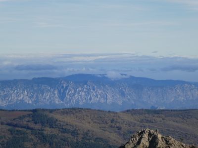 Vue Quille