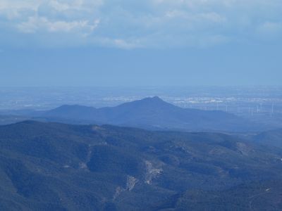 Vue Força Real