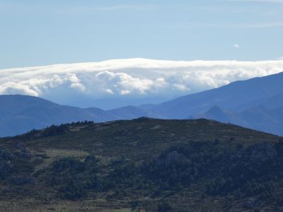 Vue Rosselló 5