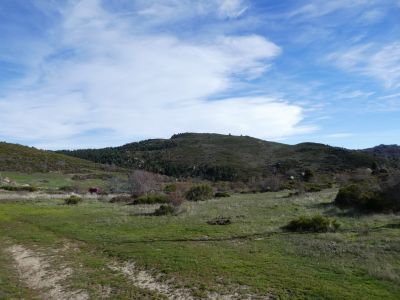 Vue Rosselló 5