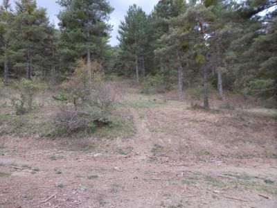 Croisement après En