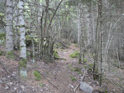 Vue sentier Argoudeil
