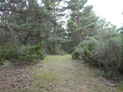 Croisement sentier Thuès