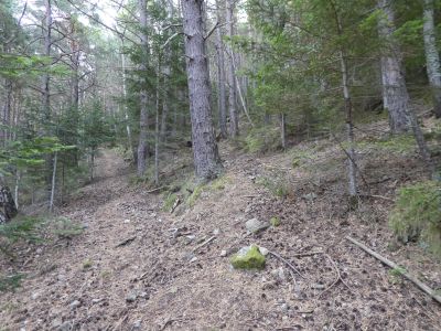 Croisement après sentier Thuès