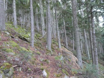 Vue montée Artigues