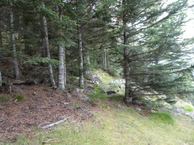 Croisement Corralets